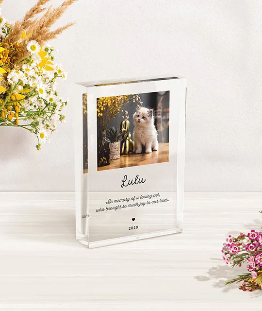 Product Photo 3