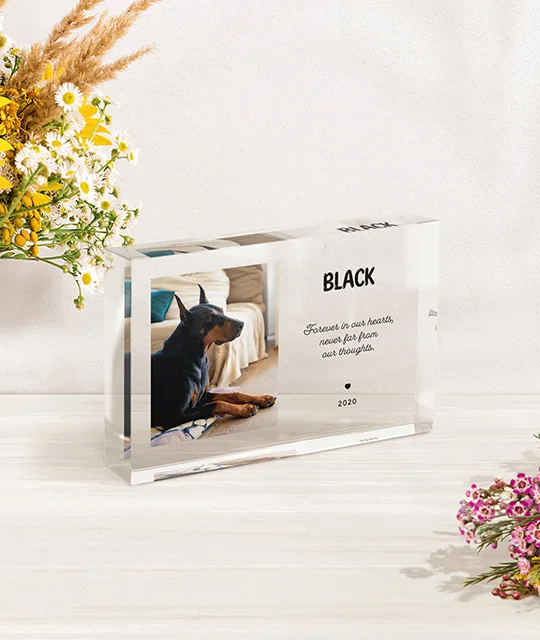 Product Photo 4
