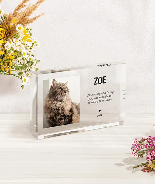 Product Photo 10